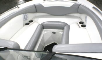 2009 Tige’ RZ4 full
