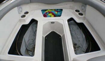 2009 Tige’ RZ4 full