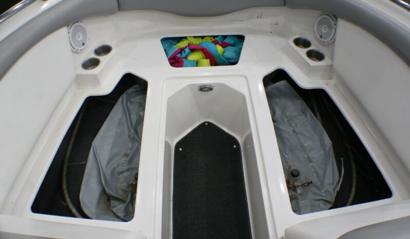 2009 Tige’ RZ4 full
