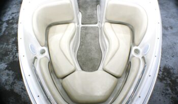2000 Chris Craft 210 BR full