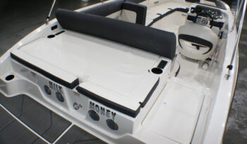 2021 Bayliner Deck Boat full