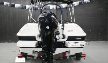 2018 BAYLINER ELEMENT E16 full