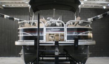 Power Boats Sun Tracker 2015 Pontoon full